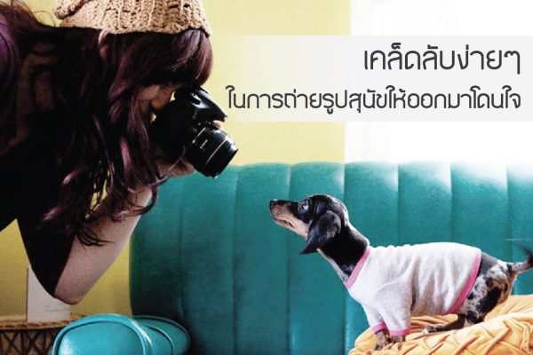 buxaway-4เคล็ดลับ ในการถ่ายรูปสุนัขให้ออกมาสวยเป๊ะทุกช็อต buxaway-4เคล็ดลับ ในการถ่ายรูปสุนัขให้ออกมาสวยเป๊ะทุกช็อต