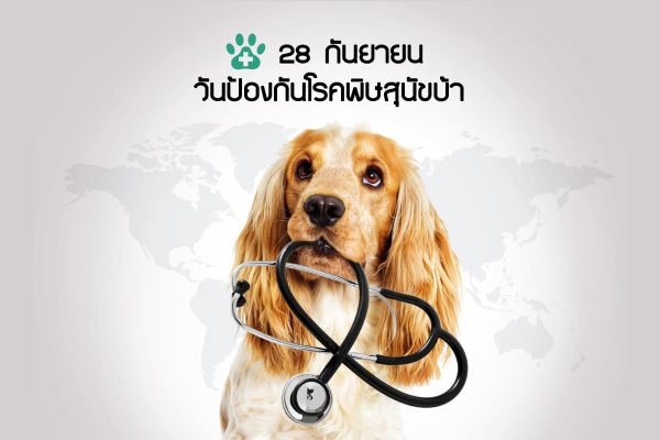 buxaway-28 กันยา วันป้องกันโรคพิษสุนัขบ้าโลก มีความสำคัญอย่างไร